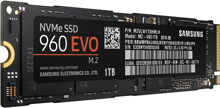 Samsung SSD 960 EVO (M.2) - 1TB_20478764
