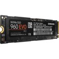 Samsung SSD 960 EVO (M.2) - 1TB_20478764
