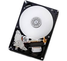 Dell server disk, 3,5&quot; - 2TB pro PE R250_334785654