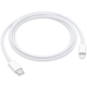 Apple kabel USB-C - Lightning, 1m_281224505