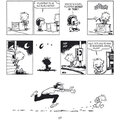 Komiks Calvin a Hobbes, 1.díl_1949144323
