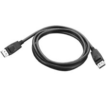 Lenovo DisplayPort to DisplayPort, 0,5 m_886996682