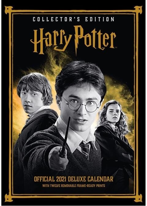 Kalendář 2021 - Harry Potter Deluxe_1102920109