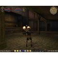 Dungeon Lords MMXII (PC)_1141915949