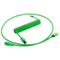 CableMod Pro Coiled Cable, USB-C/USB-A, 1,5m, Viper Green_1067745336