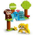 LEGO® DUPLO® 10934 Zvířátka - kreativní sada_410488998