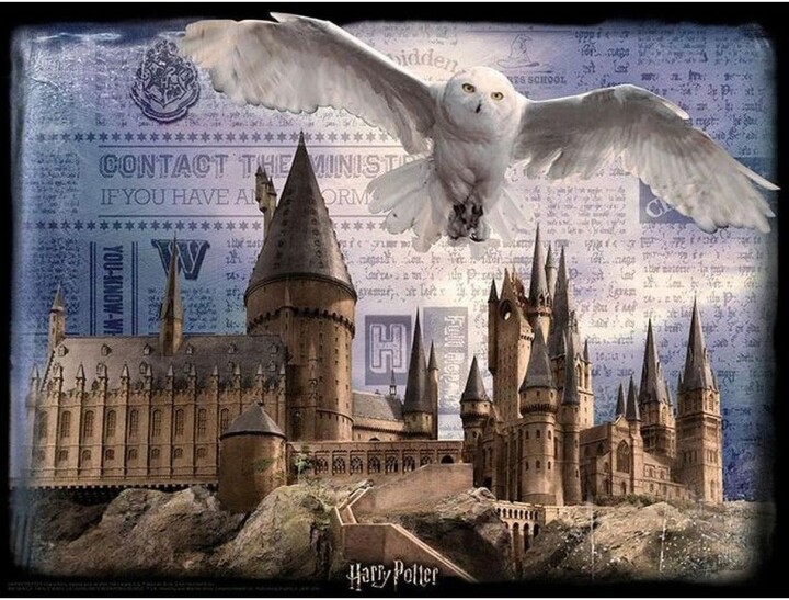 3D Puzzle - Harry Potter: Hogwarts and Hedvig, 300 dílků_610582165