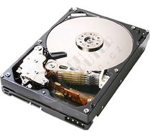 Hitachi Deskstar T7K1000 HDS721010KLA330 - 1TB SATA II_393254736