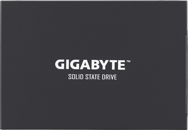 GIGABYTE SSD UD PRO, 2,5&quot; - 256GB_77950222