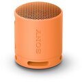 Sony SRS-XB100, oranžová_1687996341