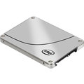 Intel SSD DC S3500 - 80GB, OEM_1646186319