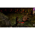 Neverwinter Nights: Enhanced Edition (PC)_488794050