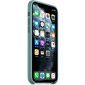 Apple silikonový kryt pro iPhone 11 Pro, kaktusová zelená_73383854