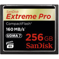 SanDisk CompactFlash Extreme Pro 256GB 160MB/s_1396697387