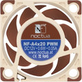 Noctua NF-A4x20-PWM_138492664