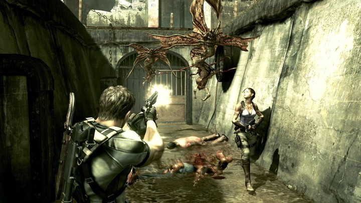Resident Evil 5 HD (PS4)_339879859