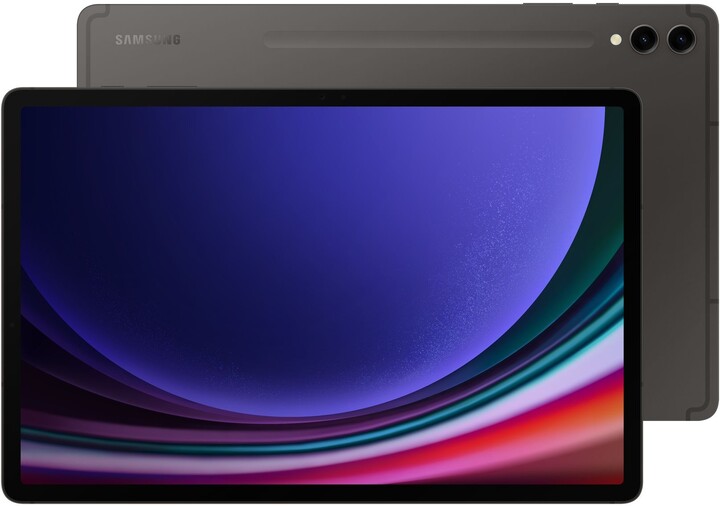 Samsung Galaxy Tab S9+, 12GB/512GB, Gray_326119564
