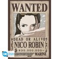 Plakát One Piece - Nami &amp; Robin, 2 ks (52x38)_1660447489