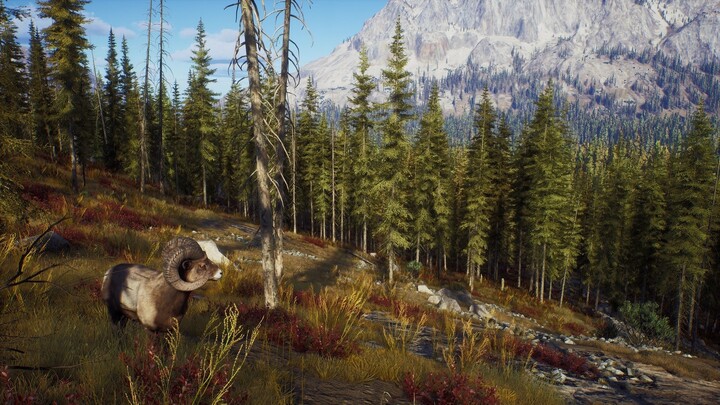 Way of the Hunter - Hunting Season One (Xbox Series X)_2022699969