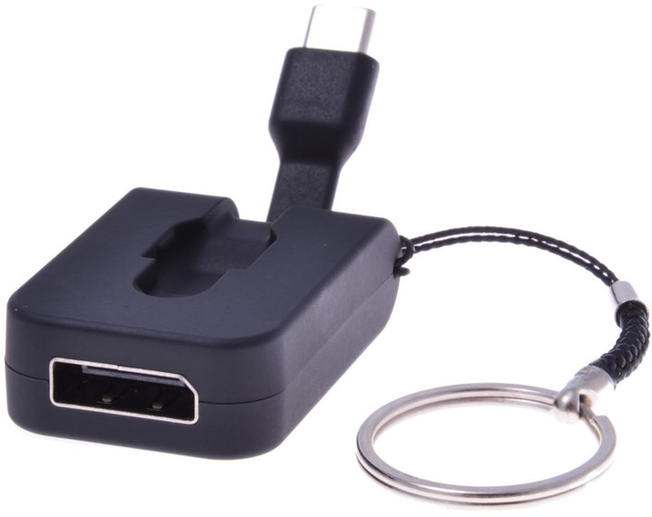 PremiumCord adaptér USB 3.1 Typ-C male na DisplayPort female,zasunovací kabel a kroužek na klíče_843959970