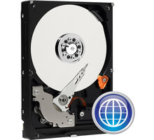 WD Blue - 80GB_1026115380