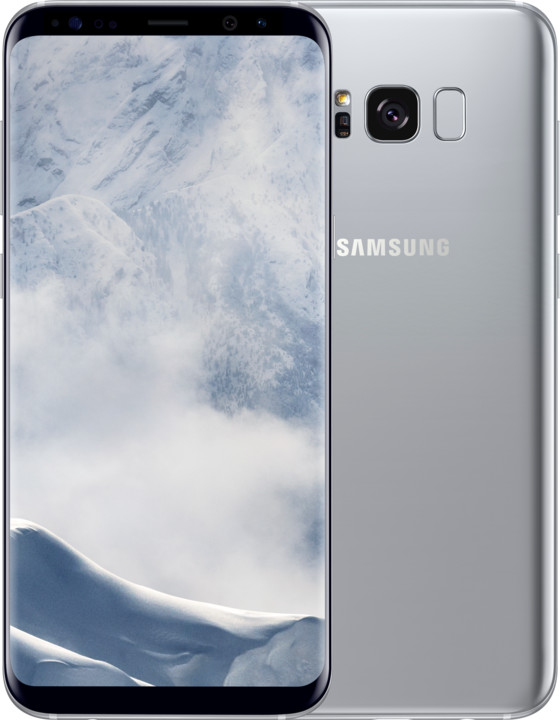 Samsung Galaxy S8+, 64GB, stříbrná_1126169690