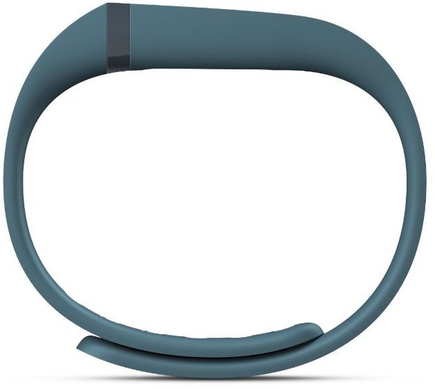 Google Fitbit Flex, slate