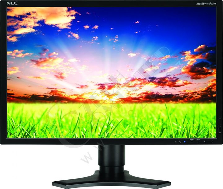 NEC MultiSync P221W černý - LCD monitor 22&quot;_2053277936