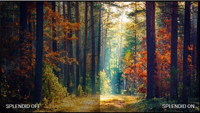 Omlouváme se, popis obrázku chybí.