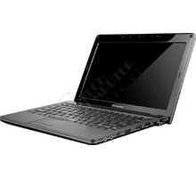 Lenovo IdeaPad U165 (043506), hnědá_546548666