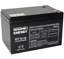 GOOWEI ENERGY OT12-12 - VRLA AGM, F2, 12V, 12Ah_1306341877