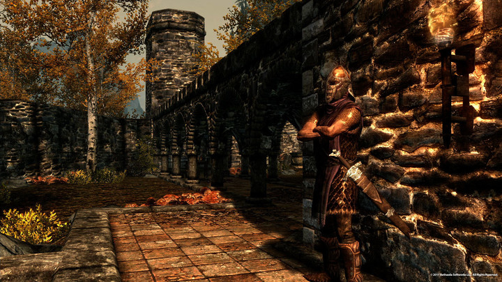 The Elder Scrolls V: Skyrim - Dragonborn (PC)_226782016