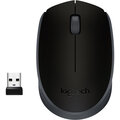 Logitech Wireless Mouse M171, černá_2069295763