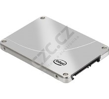 Intel SSD 320 - 80GB, OEM_1381978102