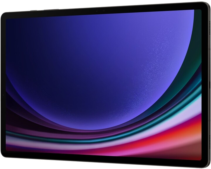 Samsung Galaxy Tab S9 Ultra 5G, 12GB/512GB, Gray_1245785972