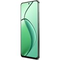 Realme 12 5G, 8GB/256GB, Woodland Green_422944943