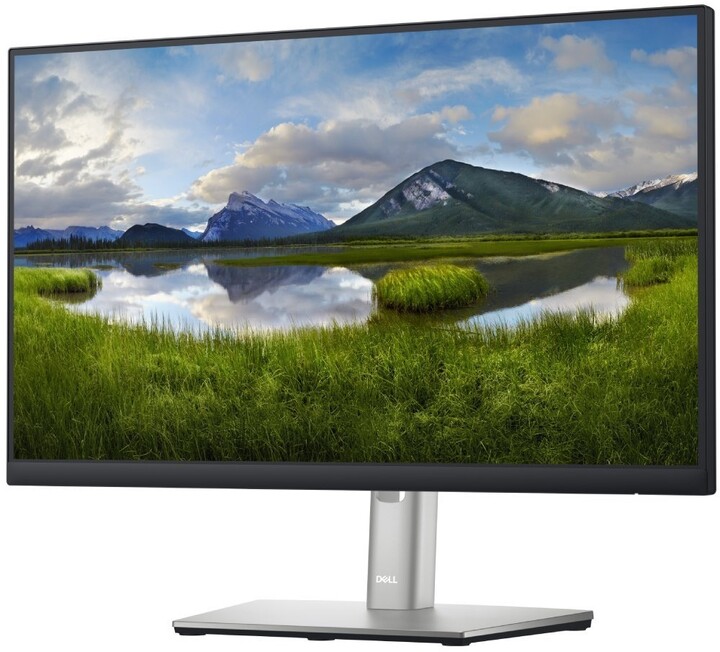 Dell Professional P2222H - LED monitor 22"