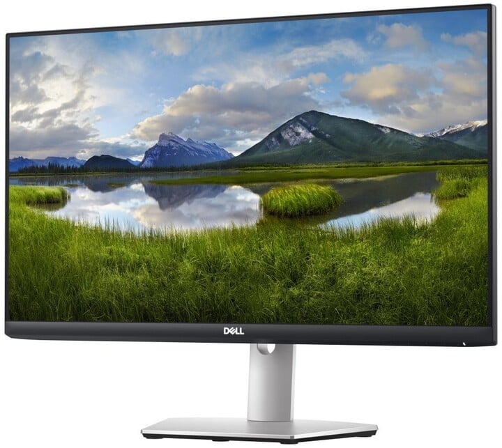 Dell S2421HS - LED monitor 24&quot;_945550649