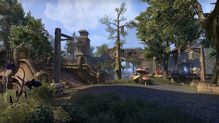 The Elder Scrolls Online: Morrowind (PS4)_1423910110