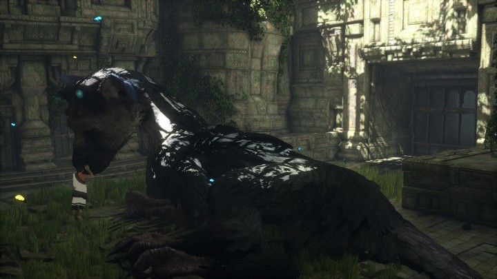 The Last Guardian (PS4)_202042430