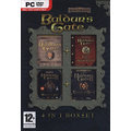 Baldurs Gate Saga (PC)
