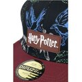 Kšiltovka Harry Potter - Heraldic Animals, nastavitelná, snapback_1495169300