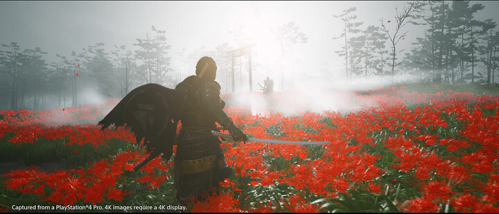 Ghost of Tsushima - Director&#39;s Cut (PS5)_1853689395