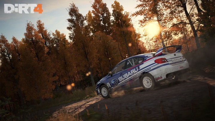 DiRT 4 - Day One Edition (PC)_320871419