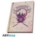 Dárkový set Harry Potter - Hogwarts, hrnek, klíčenka, zápisník, 250ml_1658396220