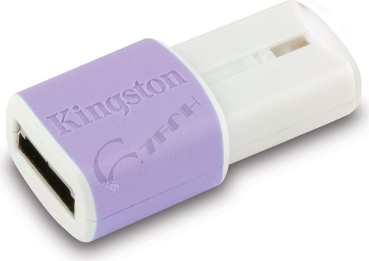 Kingston DataTraveler Mini Migo Edition 2GB_1324205434