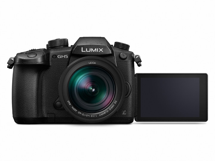 Panasonic Lumix DMC-GH5 + Leica DG 12-60mm f/2.8-4_1793457951