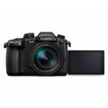 Panasonic Lumix DMC-GH5 + Leica DG 12-60mm f/2.8-4_1793457951