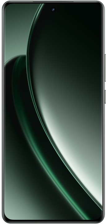 Realme GT 6 5G, 16GB/512GB, Razor Green_188487542