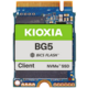 KIOXIA BG5, M.2 - 512GB_1326018144